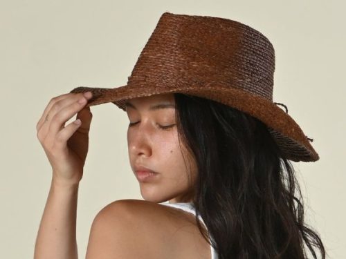 Brown Fedora Hat